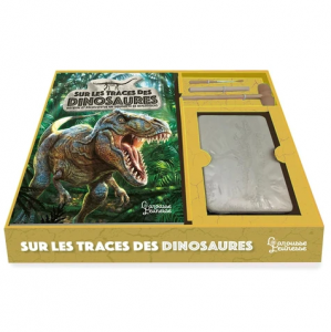 Sur les traces des dinosaures